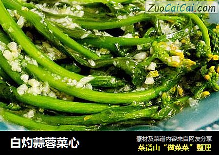 白灼蒜蓉菜心