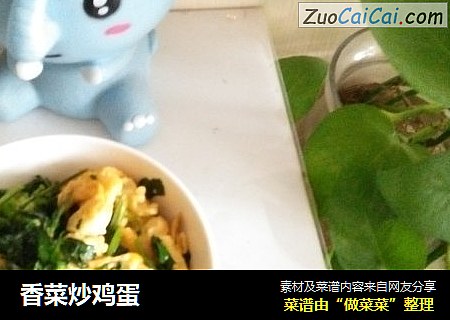 香菜炒鸡蛋