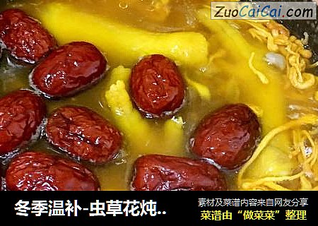 冬季温补-虫草花炖草鸡