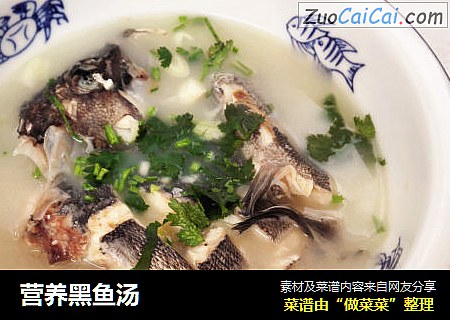 营养黑鱼汤