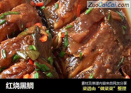 红烧黑鲷