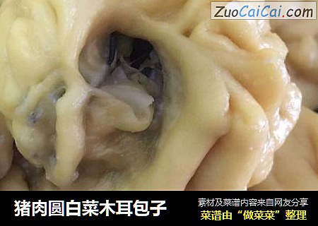 猪肉圆白菜木耳包子