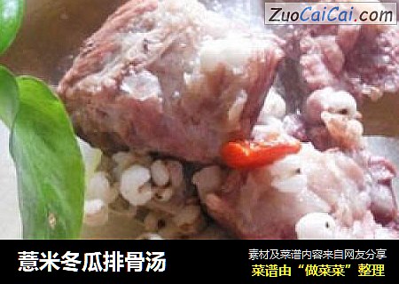 薏米冬瓜排骨汤