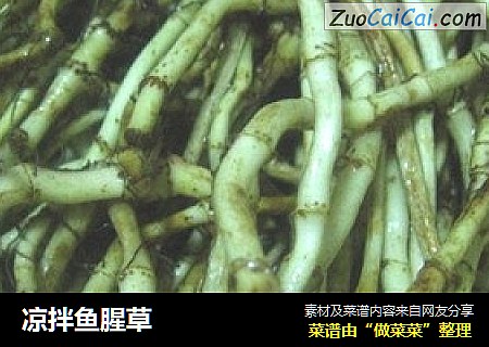 凉拌鱼腥草