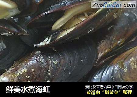 鲜美水煮海虹