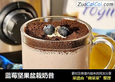 蓝莓坚果盆栽奶昔