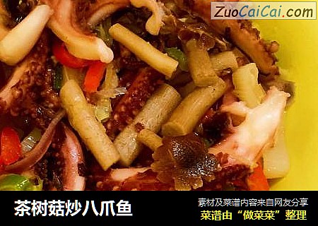 茶树菇炒八爪鱼