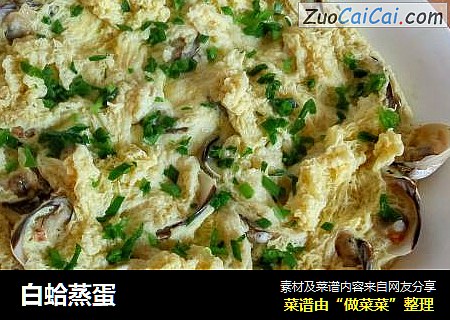 白蛤蒸蛋