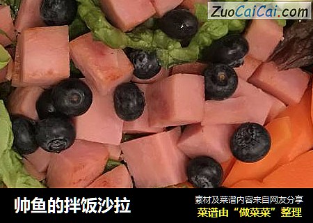 帅鱼的拌饭沙拉