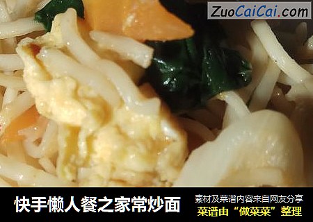 快手懒人餐之家常炒面