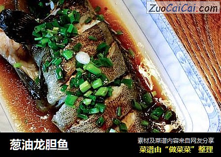 葱油龙胆鱼