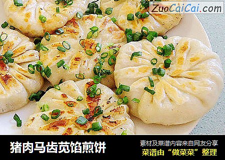 猪肉马齿苋馅煎饼