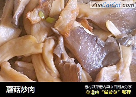 蘑菇炒肉