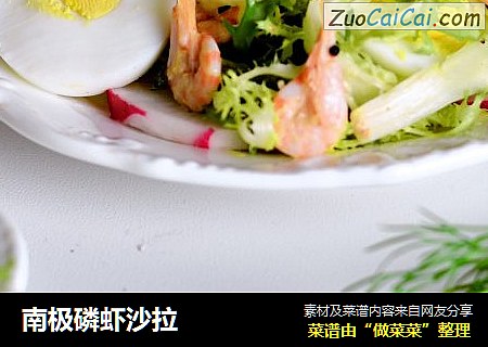 南极磷虾沙拉
