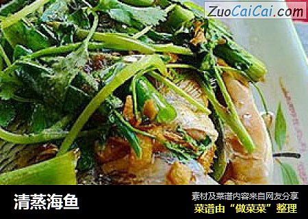 清蒸海鱼