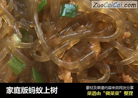 家庭版蚂蚁上树