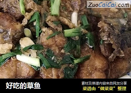 好吃的草鱼