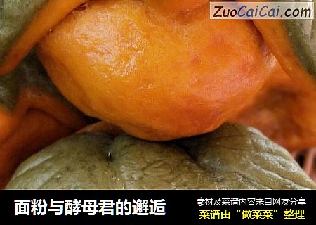 面粉与酵母君的邂逅