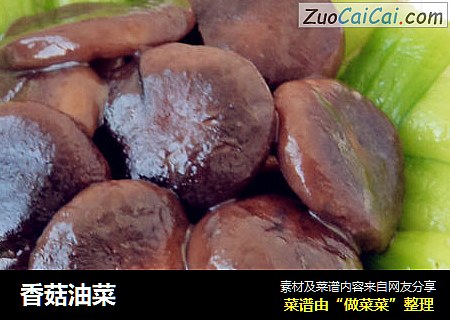 香菇油菜
