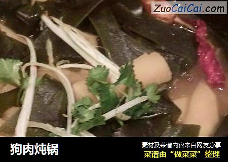狗肉炖锅