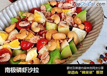 南极磷虾沙拉