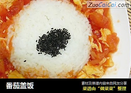 番茄盖饭