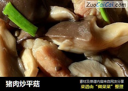猪肉炒平菇