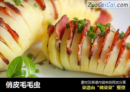 俏皮毛毛虫