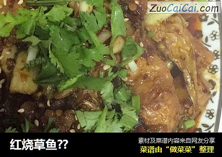 红烧草鱼??