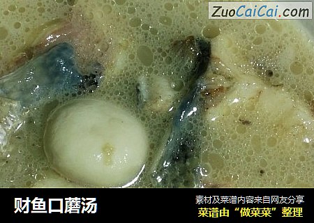 财鱼口蘑汤