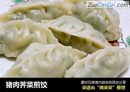 猪肉荠菜煎饺
