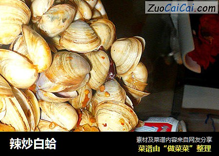 辣炒白蛤