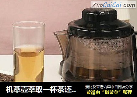 机萃壶萃取一杯茶还你一头乌黑亮丽的秀发