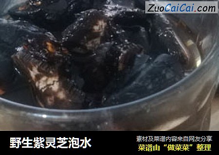 野生紫灵芝泡水