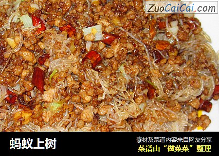 蚂蚁上树