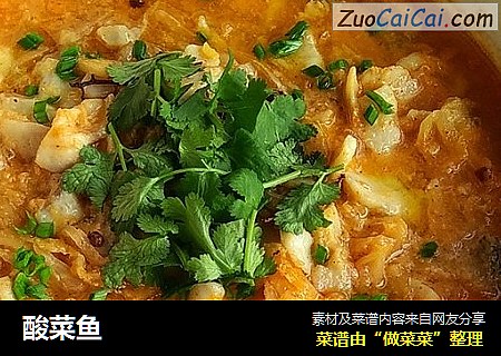 酸菜鱼