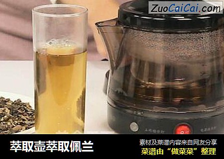 萃取壶萃取佩兰