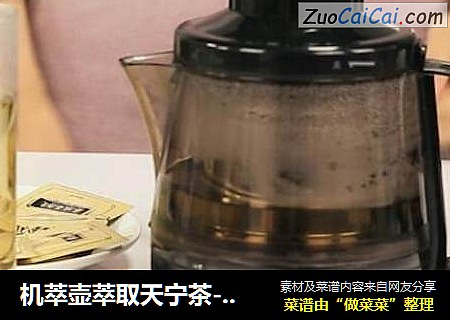 机萃壶萃取天宁茶-解决您的偏头痛