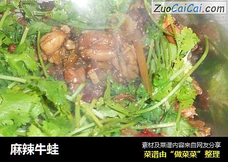 麻辣牛蛙