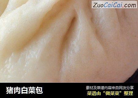 猪肉白菜包