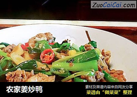 农家姜炒鸭
