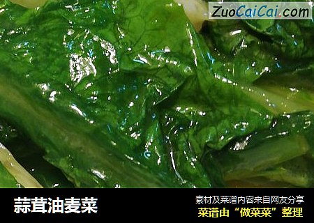 蒜茸油麦菜
