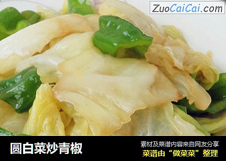 圆白菜炒青椒