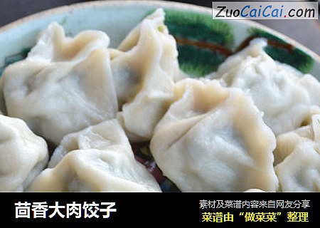 茴香大肉饺子