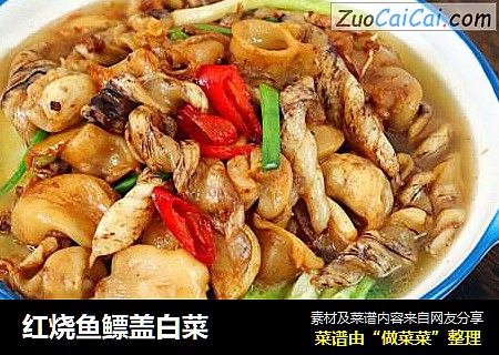 红烧鱼鳔盖白菜