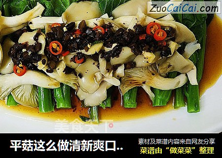 平菇这么做清新爽口风味独特-庄青山