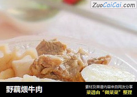 野藕煨牛肉