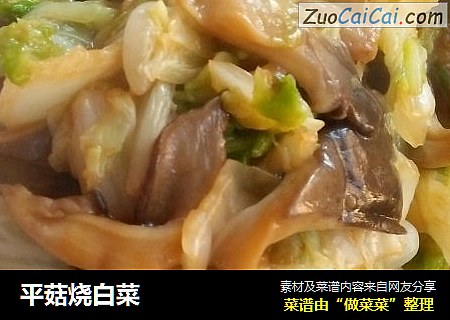 平菇烧白菜