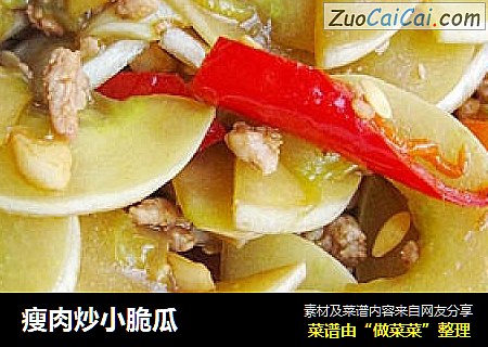 瘦肉炒小脆瓜
