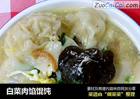 白菜肉馅馄饨